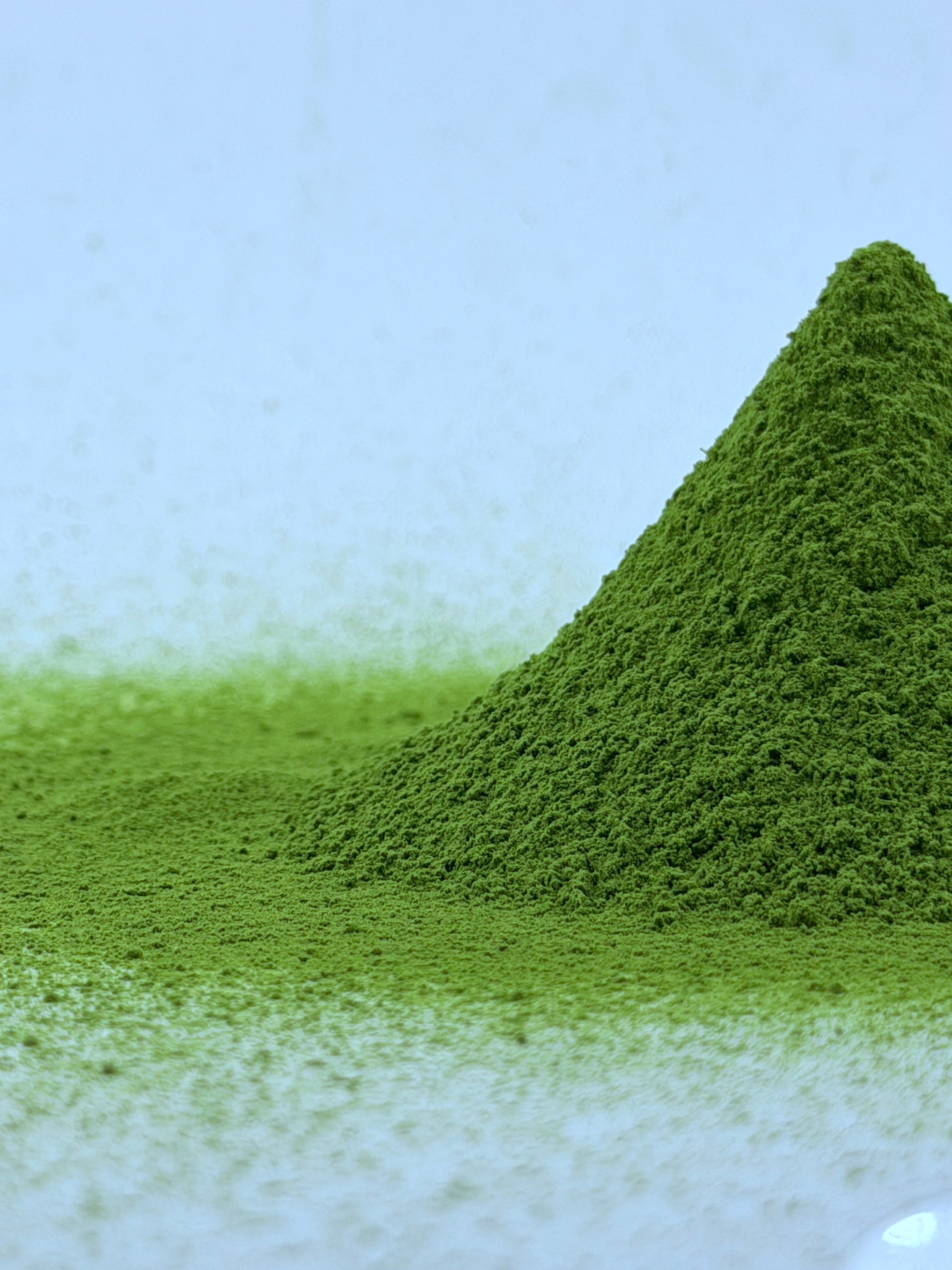 Matcha CORRIDOR. Uji
